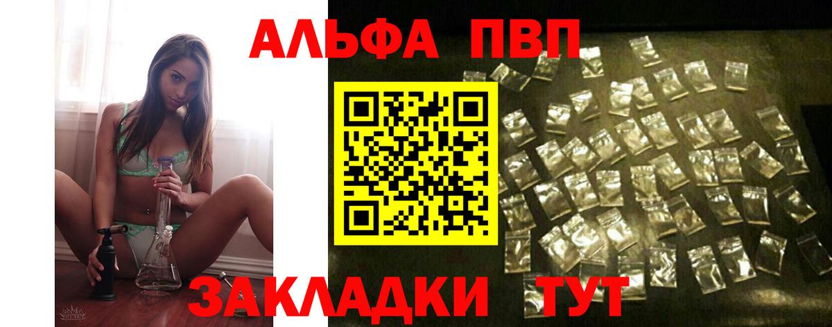 Alfa_PVP СК Кузнецк