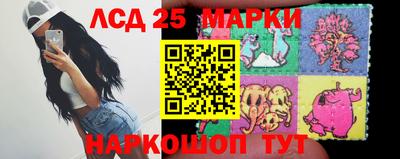 СК Кандалакша