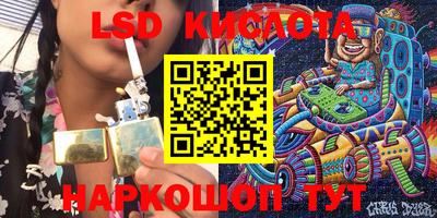 тгк Камышлов
