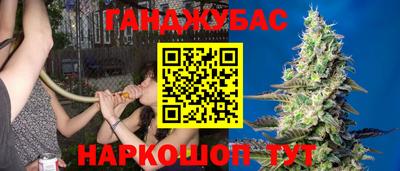 СК Кандалакша