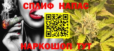 СК Кандалакша
