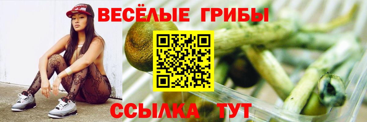 Галлюциногенные грибы Psilocybe  Вход с VPN  Кузнецк 
